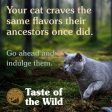 Taste of the Wild Canyon River Feline Recipe with Trout & Smoked Salmon Cat Dry Food | Grain Free Formula (Limited Shelf Life) Sale