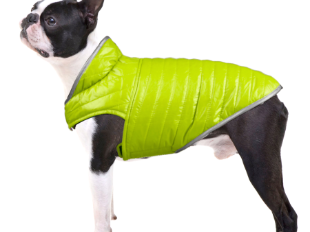 Talking Dog Club Double Trouble Reversible Jackets for Dogs (Purple Neon Green) For Discount