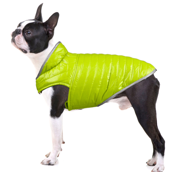 Talking Dog Club Double Trouble Reversible Jackets for Dogs (Purple Neon Green) For Discount