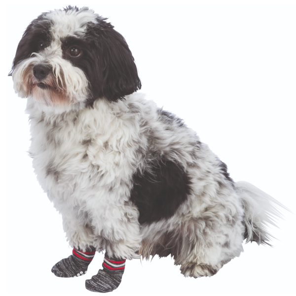 Trixie Non Slip Socks for Dogs (Grey) Online now