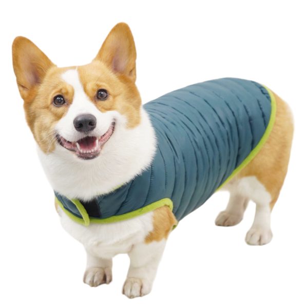 Talking Dog Club Double Trouble Reversible Jackets for Dogs (Blue Green) Online Sale