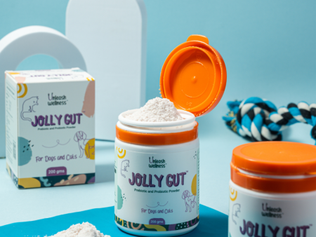 Unleash Wellness Jolly Gut Pre and Pro Biotic Supplement for Dogs and Cats For Discount