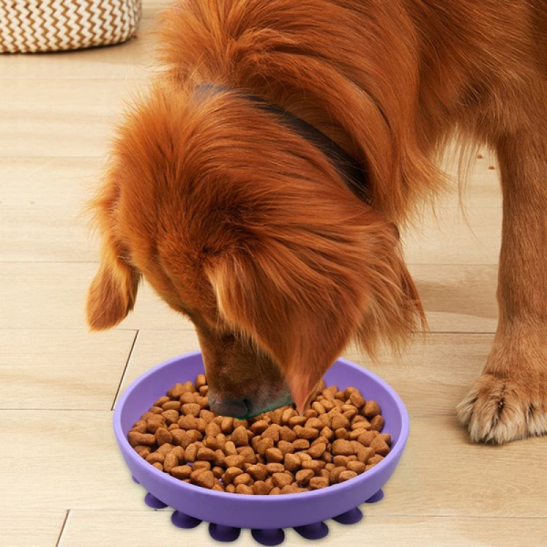 Talking Dog Club Lickables Licking Bowls for Dogs and Cats (Green) Online