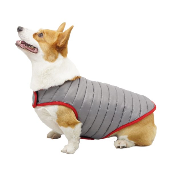 Talking Dog Club Double Trouble Reversible Jackets for Dogs (Red Sliver) Fashion