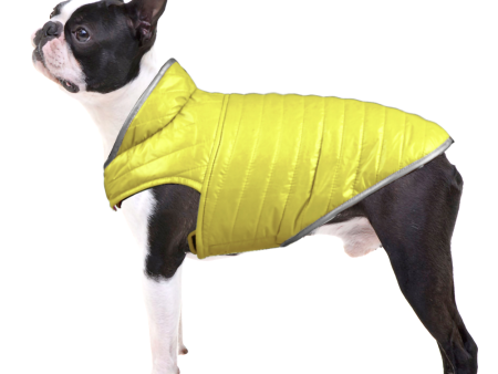 Talking Dog Club Double Trouble Reversible Jackets for Dogs (Blue Yellow) For Cheap