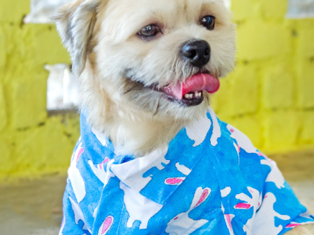 15buttons Bunny Shirt for Dogs Online now