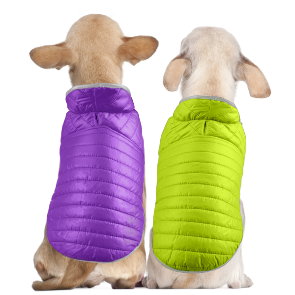 Talking Dog Club Double Trouble Reversible Jackets for Dogs (Purple Neon Green) For Discount