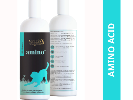 Venttura Amino Plus Syrup for Dogs Online now