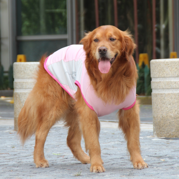 Talking Dog Club Coolios Cooling Vests for Dogs (Pink) Supply