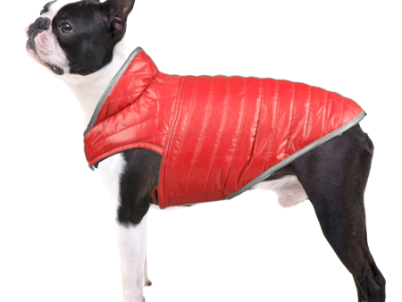 Talking Dog Club Double Trouble Reversible Jackets for Dogs (Red Blue) Fashion