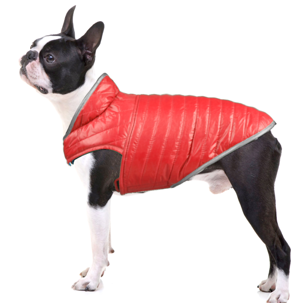 Talking Dog Club Double Trouble Reversible Jackets for Dogs (Red Blue) Fashion