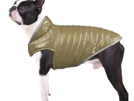 Talking Dog Club Double Trouble Reversible Jackets for Dogs (Orange Brown) Online Hot Sale