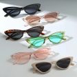 Wholesale Fashion Cat Eye Sunglasses For Sale