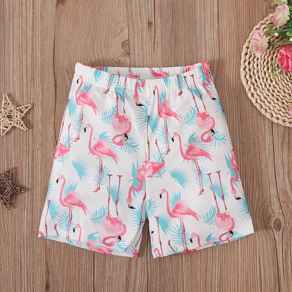 Wholesale Boys  Summer Crane Printed Boxer Briefs and Quarter Pants on Sale