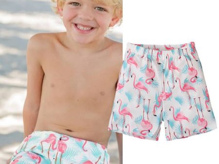 Wholesale Boys  Summer Crane Printed Boxer Briefs and Quarter Pants on Sale