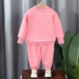 Wholesale Autumn Children s Polyester Casual Hoodie Two-piece Set Cheap