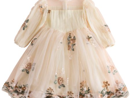 Wholesale Polyester Embroidered Flower Bubble Sleeve Dresses Sale