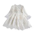 Wholesale Children s Short Sleeved Lace Polyester Dresses Supply