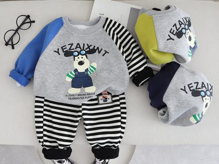 Wholesale of Boys  Cotton Hoodie Sets Online Hot Sale